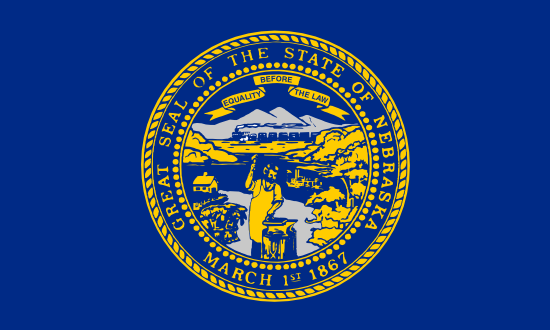 Plainview Flag